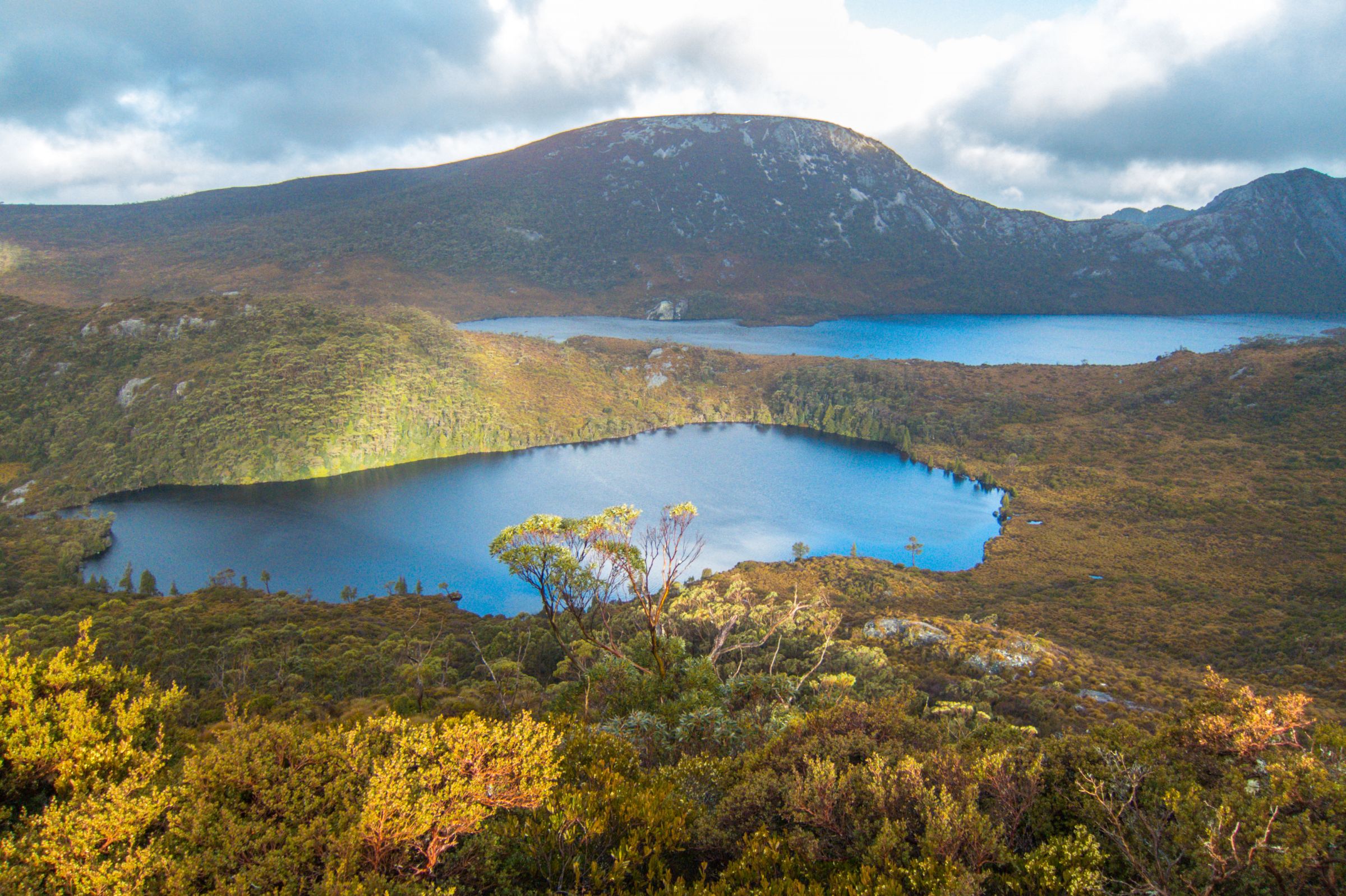 cradle mountain wildlife tour