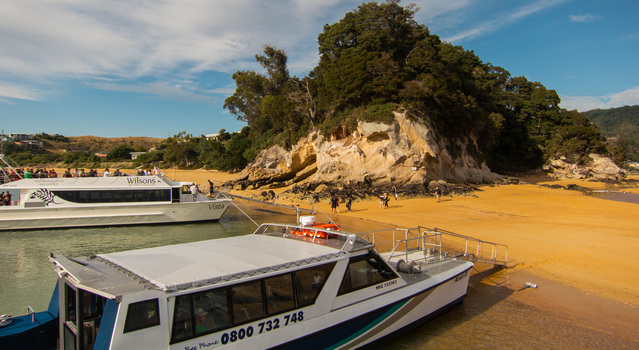 Water Taxi Shuttle early morning at the Abel Tasman National Park
