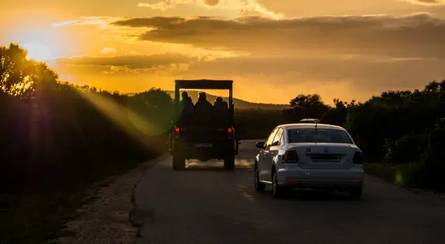 Guided Game Drive in Addo in the evening