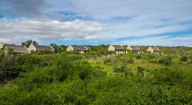 Addo Main Rest Camp Chalets next to Armstrong Fence