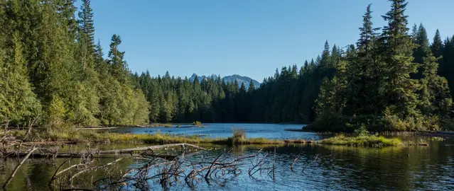 The Four Lakes Trail at Alice Lake Provincial Park