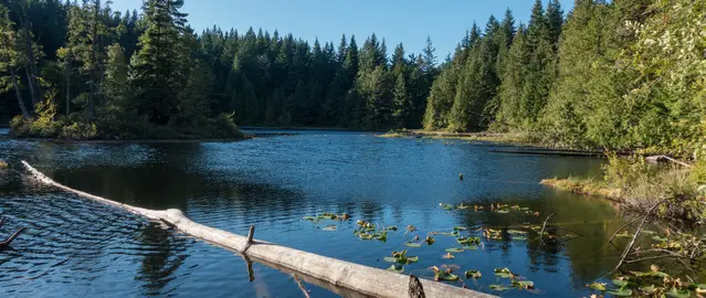 Hiking the Four Lakes Trail at Alice Lake Provincial Park