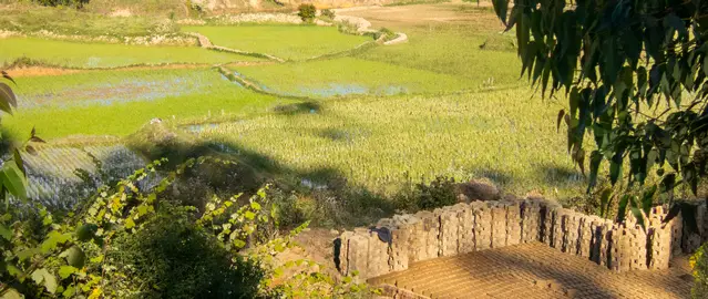 Rice field and brick macking next to Analamazaotra