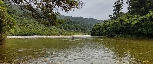 Fording the Fox River to Ballroom Overhang in the Paparoa National Park