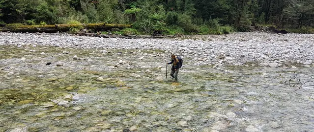 Fording 8 times through the Fox River to get to the Ballroom Overhang in the Paparoa National Park, Punakaiki