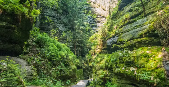 Trail through the Swedish Holes - Elbe Sandstone Mountains