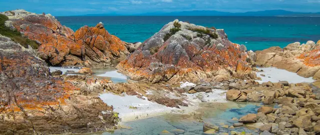 Bay of Fires Eddystone Point at low tide