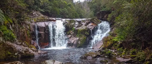 Halls Falls in the Blue Tier Forest Reserve