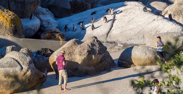 Boulders Beach