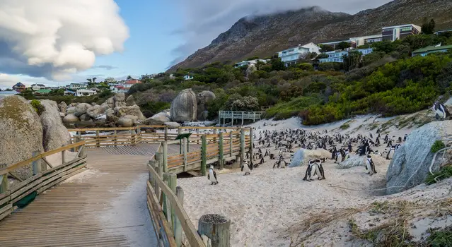 Foxy Beach - Boulders Boardwalk in the late afternoon