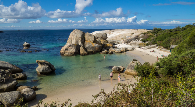 The real Boulders Beach with a view penguins only