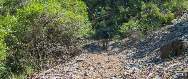 Steep descent on the Bungonia red track down to the creek