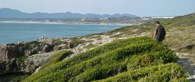 Klipgat Walk Gansbaai