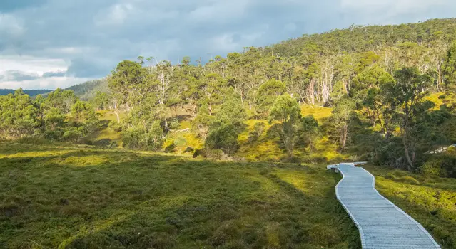 Hiking Trail on a boardwalk in the Cradle Mountain National Park