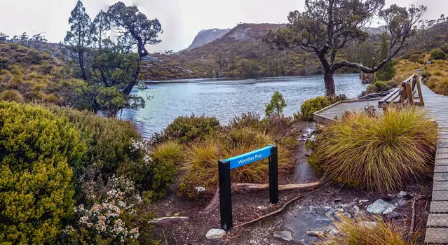 Wombat Pool in the Cradle Mountain National Park