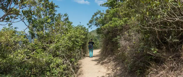 Dragons Back hiking trail without any shelter