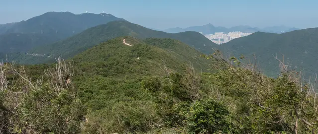 Dragons Back hiking trail with skyscrapers in the distance