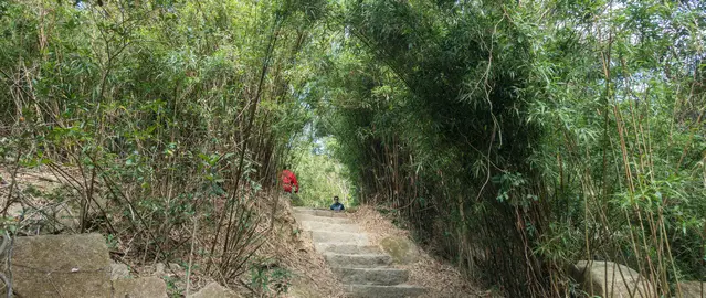 Steps at the Dragon's Back hiking trail