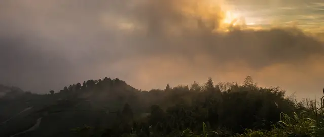 Eryanping Trail along tea plantations to the second outlook for the sunset