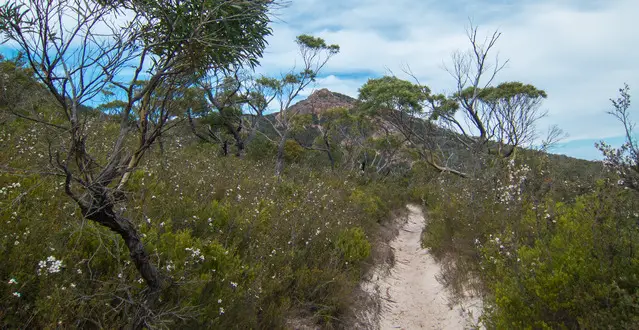 Hiking Trail in the Freycinet National Park