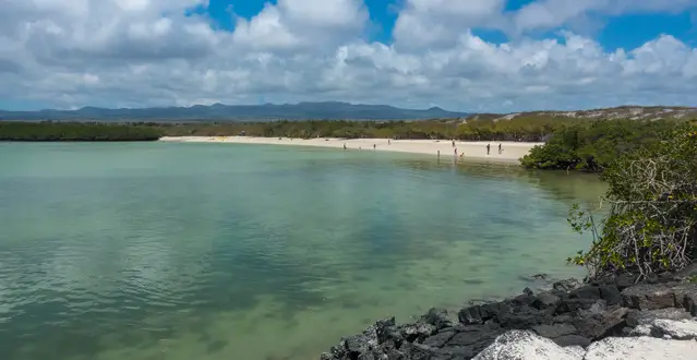 Tortuga Bay. Santa Cruz Island