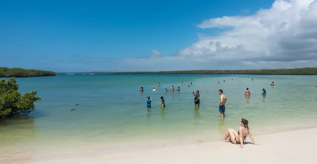 More crowded beach on the Galapagos Islands