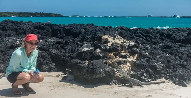 Iguanas at the beach on Isabela Island