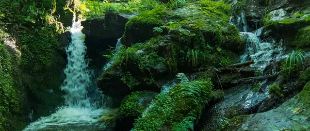 Baybach Ravine Hike close to Geierlay