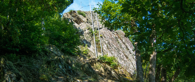 Layensteig close to the Geierlay suspension bridge