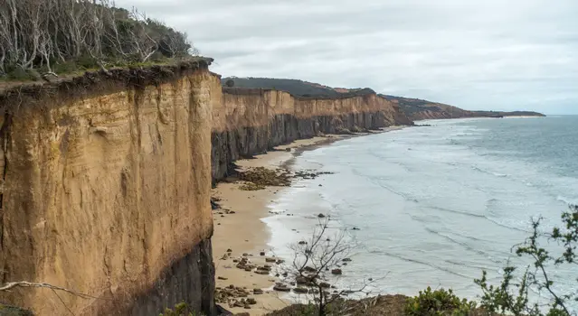 Anglesea Cliffs - Great Ocean Road