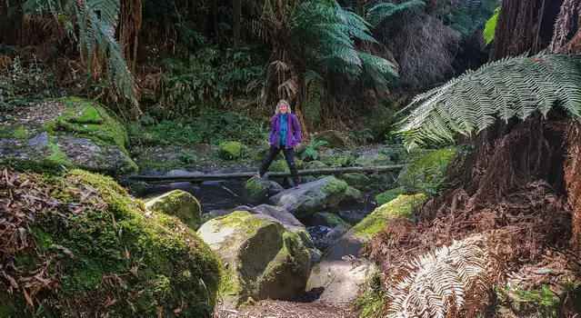 Erskine Fall and River Trail in Spring - Lorne