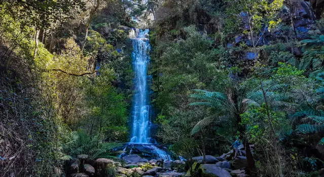 Great Ocean Road - Erskine Falls