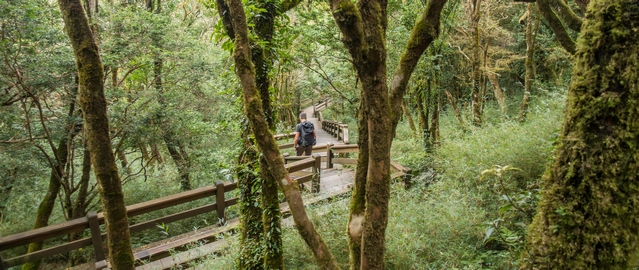 Kuaishan Trail to Formosan Cypresses in the Guanwu Recreational Area