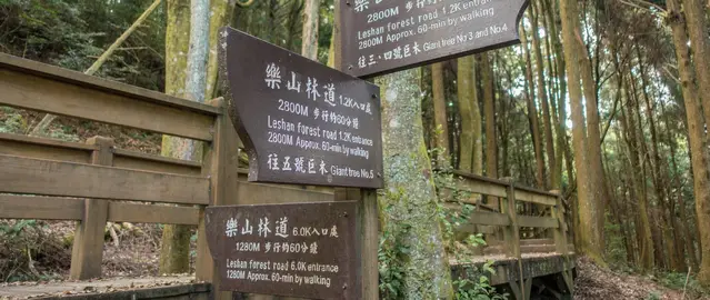 Hiking to the Formosan Cypresses in Guanwu, part of the Sheipa National Park