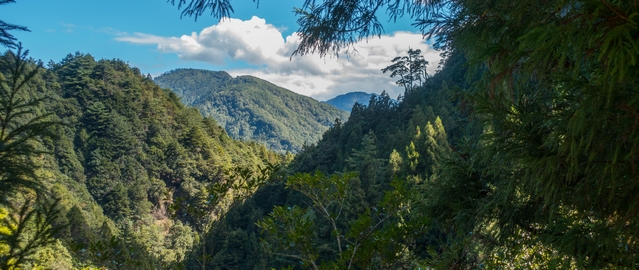 Hiking the Jhenshan or Zhenshan Trail also called Hazelnut Mountain in Guanwu; part of the Sheipa National Park in Taiwan