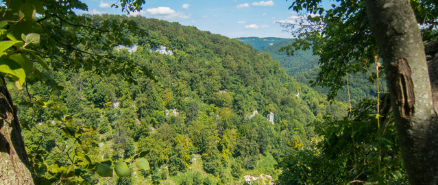 Gustl Cave, view from ruin Hofen
