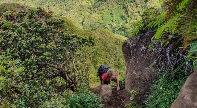 Steep climb up in the Moanalua Valley to Haiku Stairs