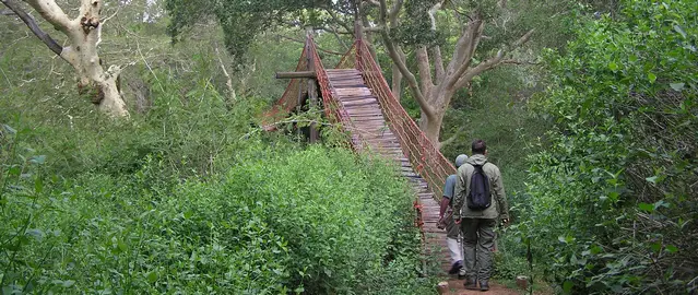 Guided walk in the Mkhuze Game Reserve part of the Isimangaliso Wetland Park