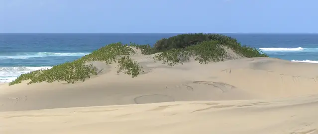 Dunes at Cape Vidal in the Isimangaliso Wetland Park