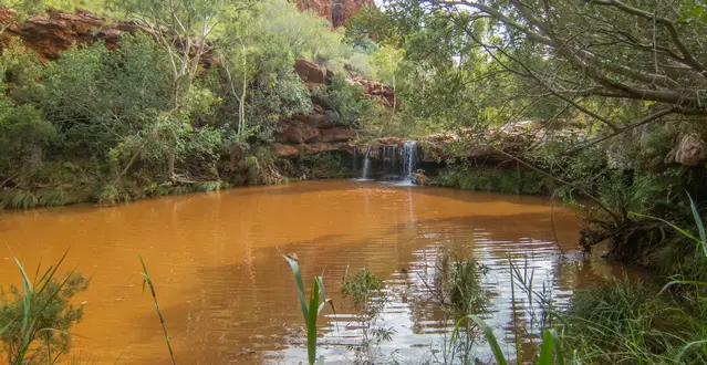 Fern Pool after heavy rainfall in summer