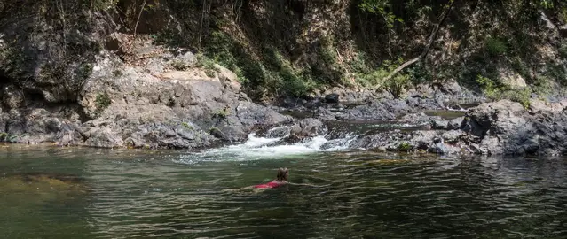 Swimming in the Khao Sok National Park