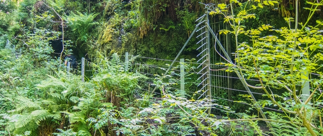 Lydford Gorge can get closed by a gate