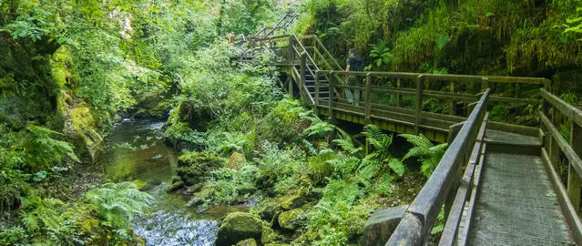 Lydford Gorge - Boardwalk