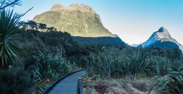 Milford Foreshore Walk early morning