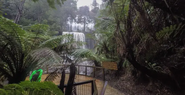 The impressive Russel Falls during heavy rainfall in spring