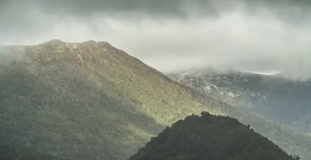 First snow at Mount Field National Park