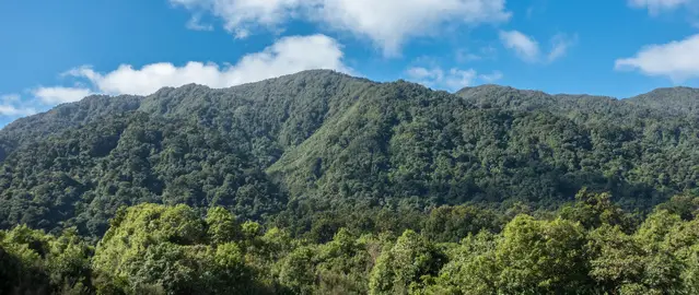 Mount Tuhua from Lake Kaniere