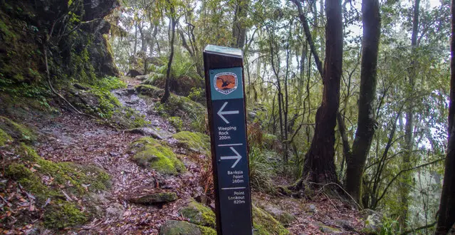 Eagles Nest and Wepping Rock Trail