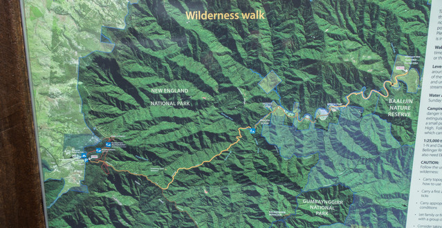 Robinson Knob Wilderness Trail