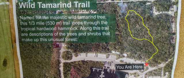 Wild Tamarind Trail in the John Pennekamp State Park